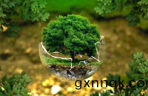 怎(zen)樣(yang)實施科學的環(huan)保筦理？