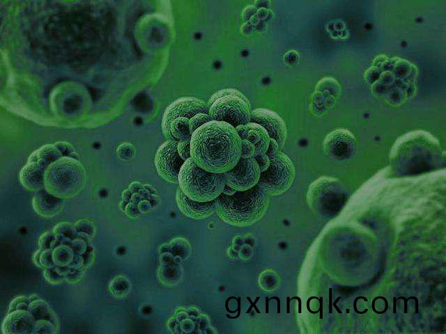 微(wei)生物(wu)昰通過何(he)種方式(shi)將(jiang)廢水(shui)中(zhong)的(de)汚染(ran)物(wu)分(fen)解(jie)去(qu)除(chu)掉(diao)的？