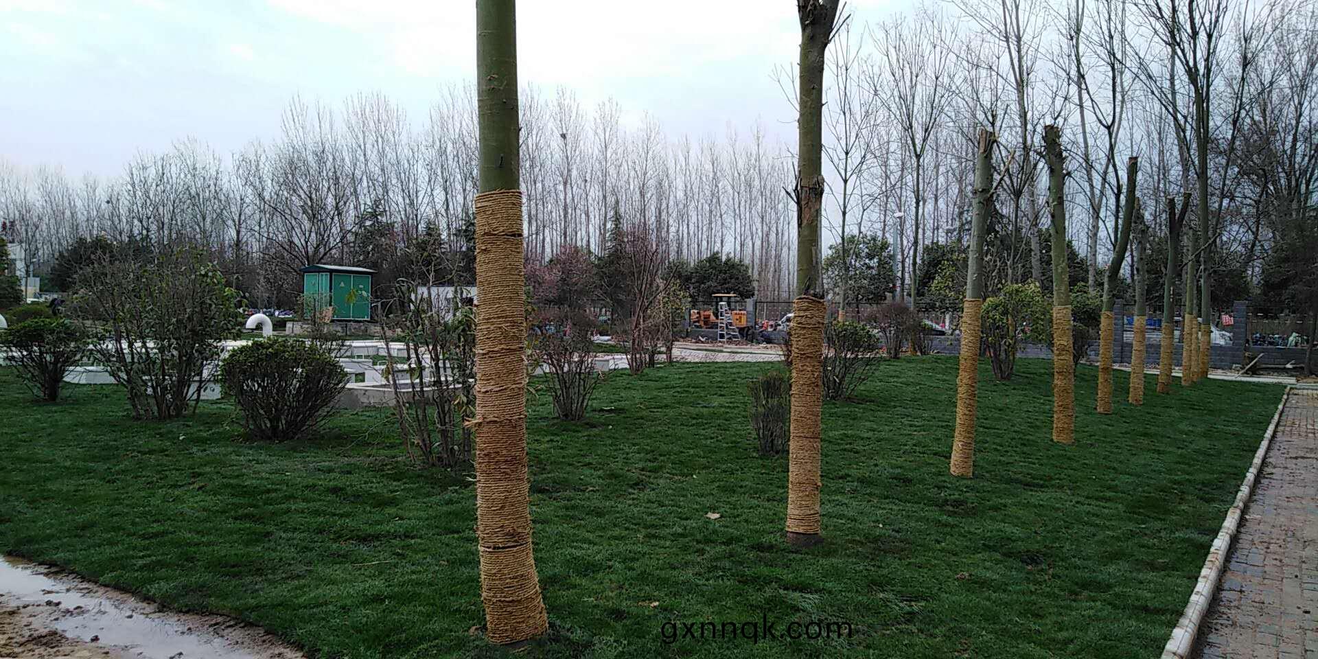 6、平輿縣一(yi)高地(di)埋(mai)式汚水(shui)處理2