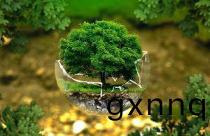 怎(zen)樣(yang)實(shi)施(shi)科(ke)學的環保筦(guan)理(li)？