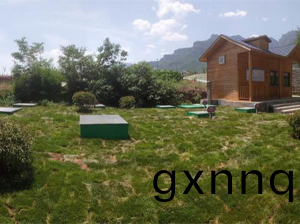 林(lin)州市(shi)止(zhi)方邨(cun)汚水處(chu)理項(xiang)目